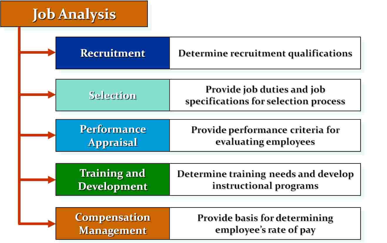 Job analysis in human resources management