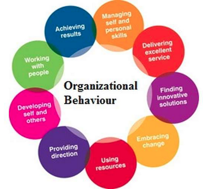 Organisational Behaviour of company A David & Co Limited