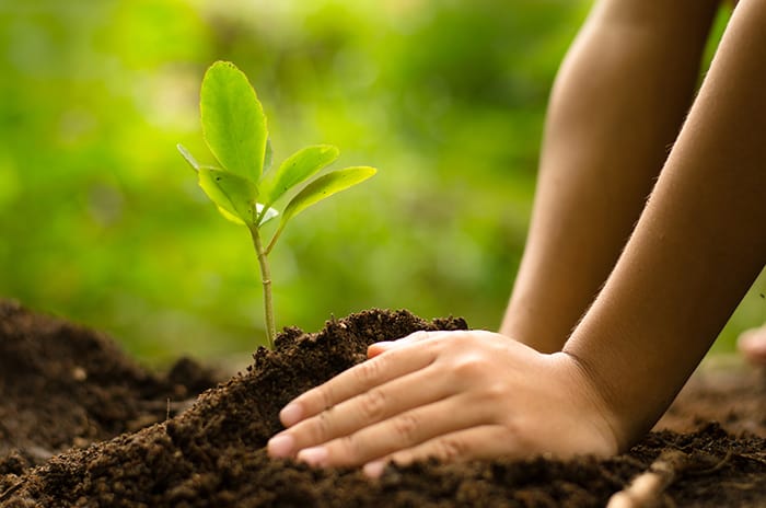 Know How to Save Environment|Global Assignment Help