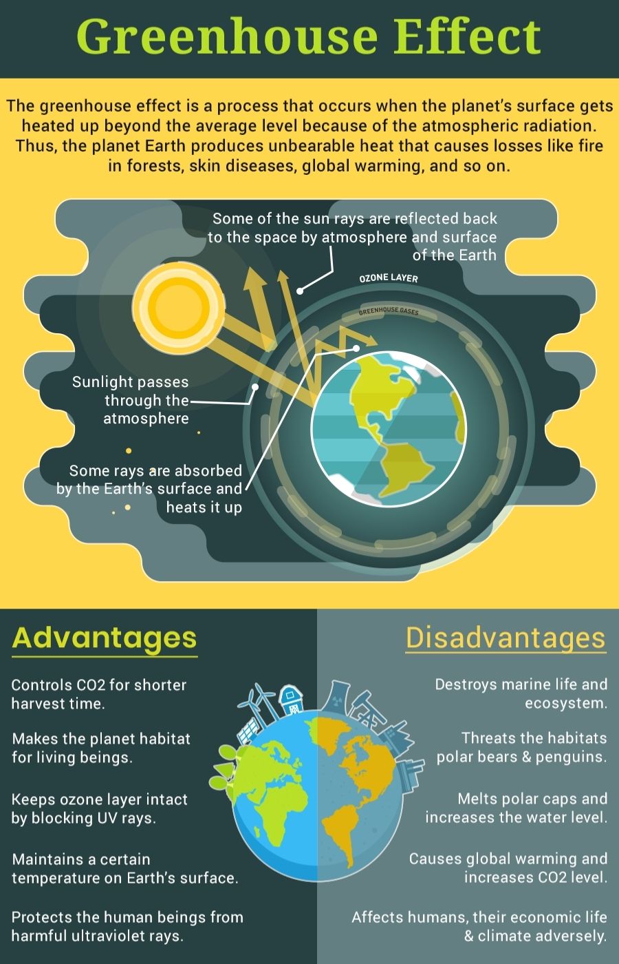 what is the greenhouse effect