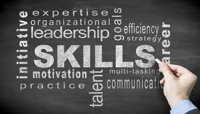Successful Auditor