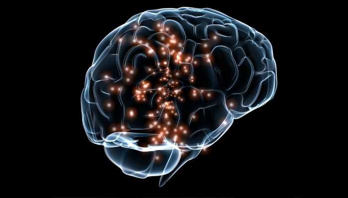 how to protect your brain functioning