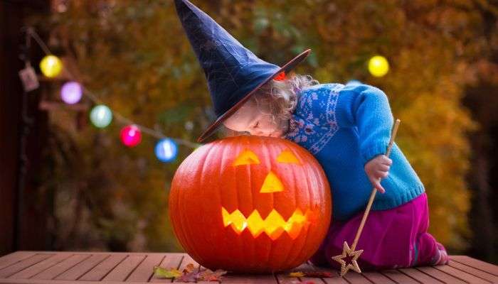 Halloween offers on assignment writing