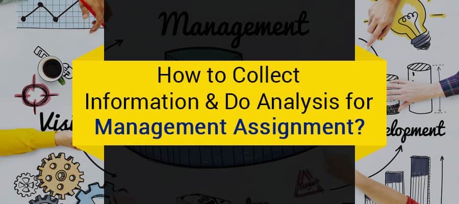 management assignment.