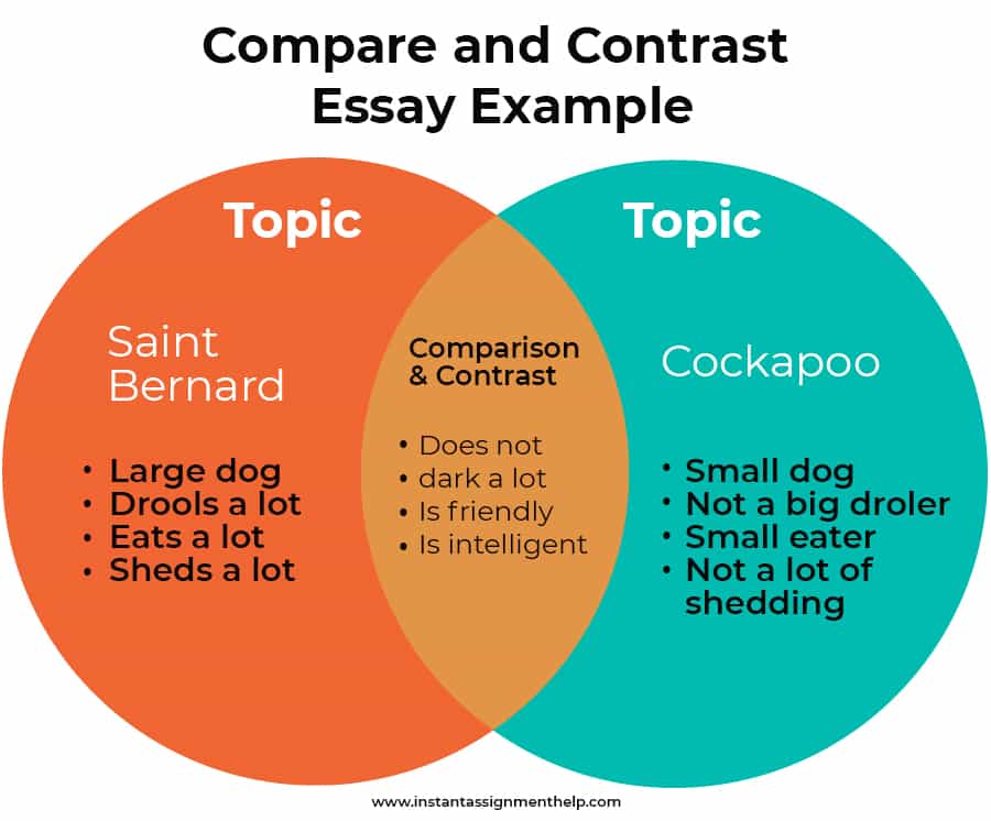 comparison and contrast in essay
