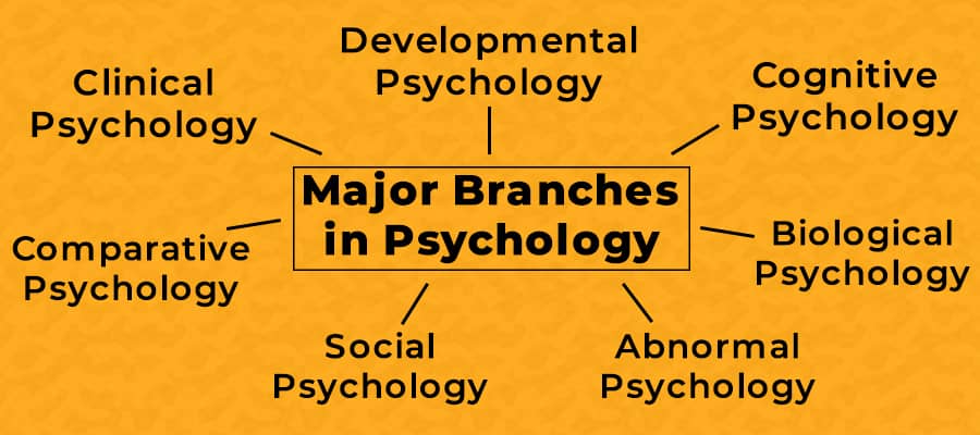 psychology major undergraduate coursework