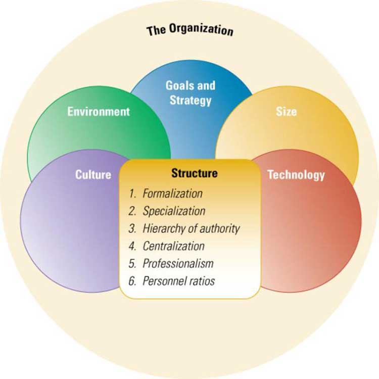 Sample on Organisational Behavior | Instant Assignment Help