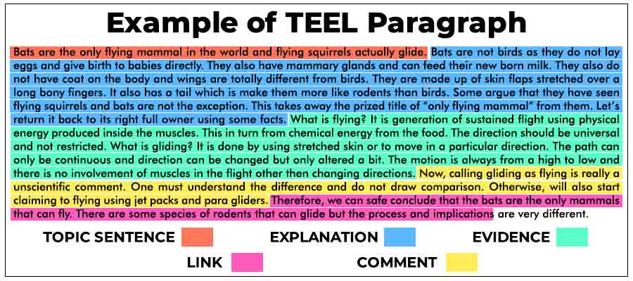 Essay Body Paragraph Structure Teel Telegraph