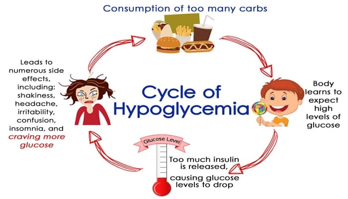 The Cycle of Hypoglycemia